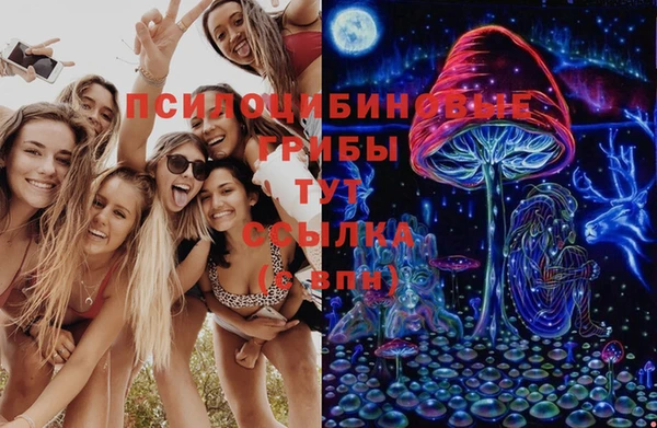 Альфа ПВП Абинск