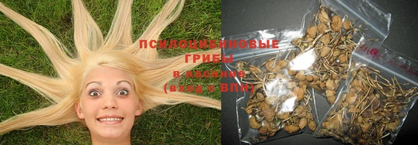 марки nbome Абаза
