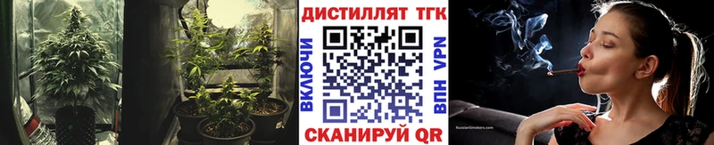 мега   Сольцы  ТГК жижа 
